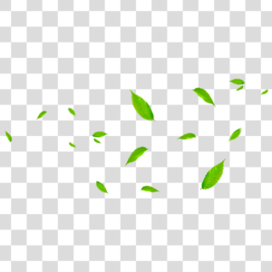 Folhas verdes voando Png
