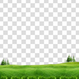 Campo Png